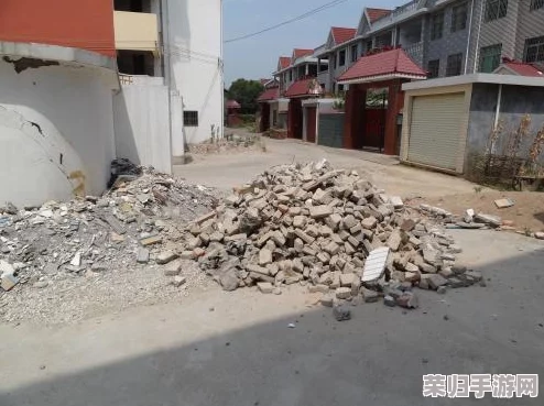 无人精华区二区区别：深入解析两者的特点与用户反馈，了解选择时的关键因素与实际体验