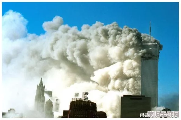 www.911爆料：全球关注的事件背后隐藏的真相与内幕分析