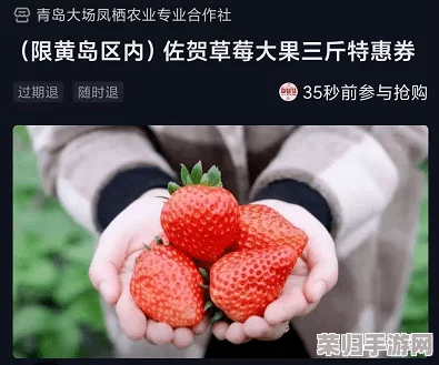 草莓视频a：畅享高清影视，感受极致视听盛宴与无限精彩内容的完美结合