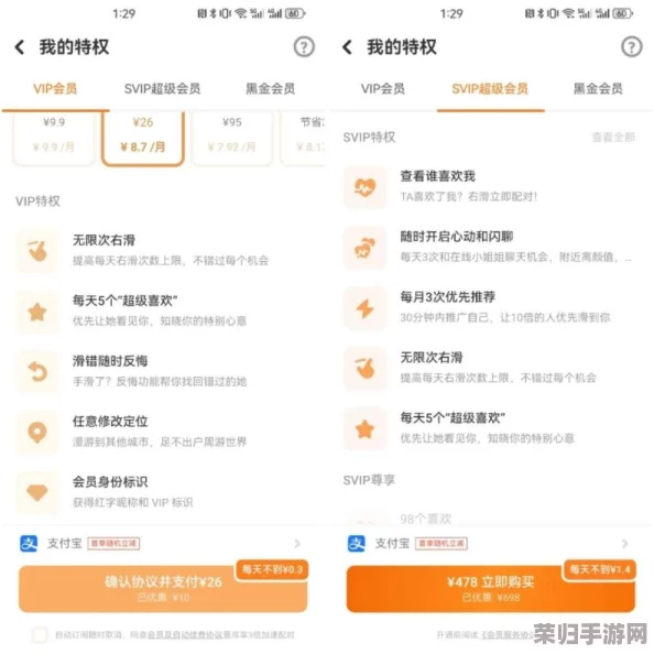 探秘探探猫大作战VIP尊享方案：性价比最优充值档位全解析，助力畅玩新体验