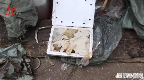 解锁《怪物猎人:世界》肉块任务攻略,轻松狩猎获取丰厚奖励! 解锁《怪物猎人:世界》肉块任务攻略,轻松狩猎获取丰厚奖励!