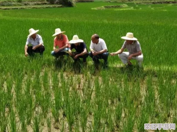 c-:深入分析其在现代科技中的应用与影响,揭示未来发展趋势的重要性 c-:深入分析其在现代科技中的应用与影响,揭示未来发展趋势的重要性