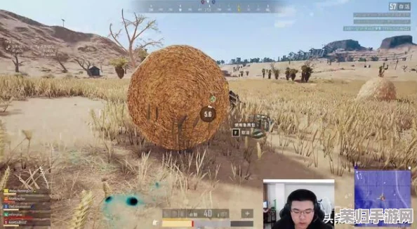 CF游戏高手秘籍：轻松调整烟雾头盔视野，战场清晰度大提升！