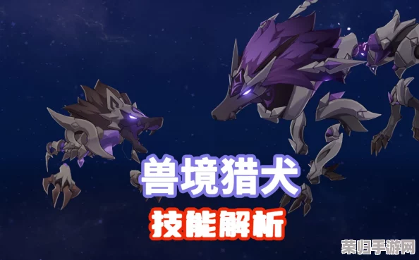 兽境猎犬神秘踪迹：探索最佳寻找地点与技巧！