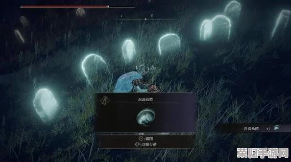 探秘艾尔登法环DLC：全泪滴幼体隐藏位置一网打尽指南！
