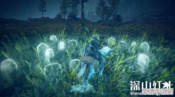 探秘艾尔登法环DLC：全泪滴幼体隐藏位置一网打尽指南！