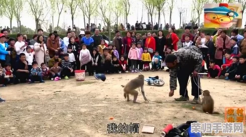 二人生猴子表演视频：欢乐互动与搞笑瞬间，带你领略奇妙的动物才艺秀！