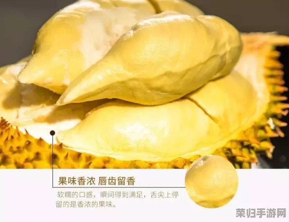 成人榴莲视频-绝对诱惑，让你欲罢不能的禁忌享受