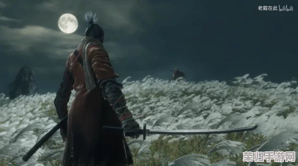 《只狼》龙咳之谜:深度解析其对游戏世界的深远影响与角色命运交织 《只狼》龙咳之谜:深度解析其对游戏世界的深远影响与角色命运交织