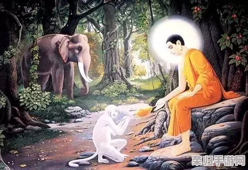 佛目珠为啥只有5个?了解其背后的文化意义与灵性价值,带你走进神秘的佛教世界 佛目珠为啥只有5个?了解其背后的文化意义与灵性价值,带你走进神秘的佛教世界