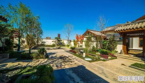 深度解析:DNF光环徽章是否支持继承机制,全面解读传承规则! 深度解析:DNF光环徽章是否支持继承机制,全面解读传承规则!