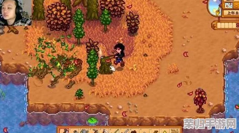 探索星露谷：罗宾神秘斧子的藏匿位置，寻踪之旅开启！