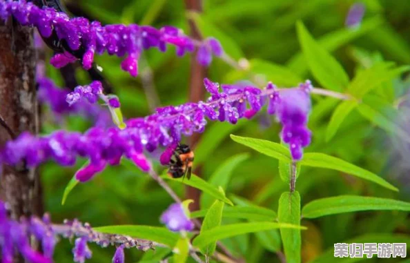 含羞草实验所隐藏2024：神秘的探索之旅，令人着迷深不可测