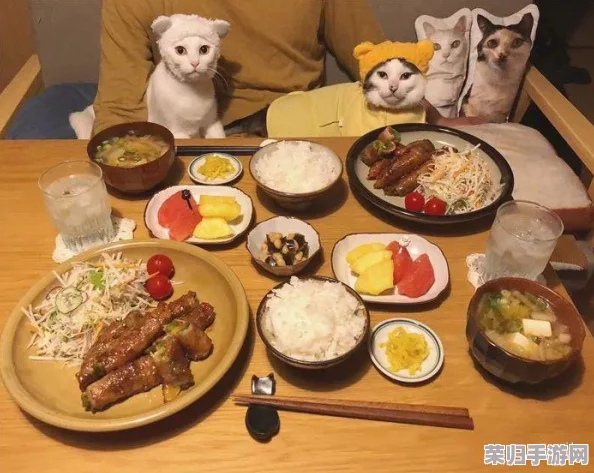 bgmbgmbgm胖老太太东北的美食之旅：探寻传统风味与现代生活的完美结合