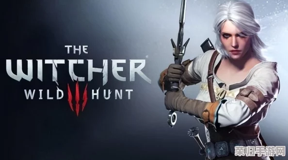 巫师3次世代版惊爆史无前例最低价，限时抢购仅需XX元！