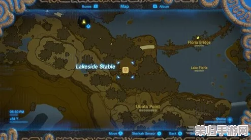 《塞尔达传说：荒野之息》光之弓的神秘获取之道，助你成为最强勇者！