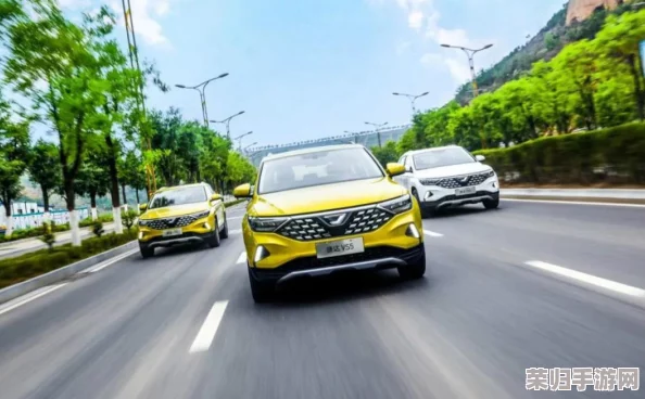 农村妇女BwBwBWBwBW：如何在现代社会中实现自我价值与经济独立的成功之路