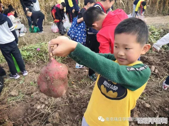 “拔萝卜又疼又叫,让我体会到大自然的趣味与劳作的辛酸” “拔萝卜又疼又叫,让我体会到大自然的趣味与劳作的辛酸”