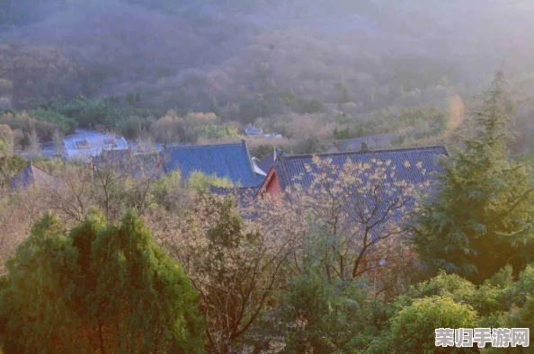 《归于沉寂》深度探索:全剧情流程第四期实况,隐秘角落的震撼冒险! 《归于沉寂》深度探索:全剧情流程第四期实况,隐秘角落的震撼冒险!