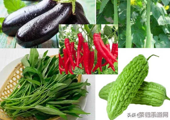 草莓丝瓜向日葵：网友纷纷点赞，称其为夏季美味与健康的完美结合，值得一试的独特美食！