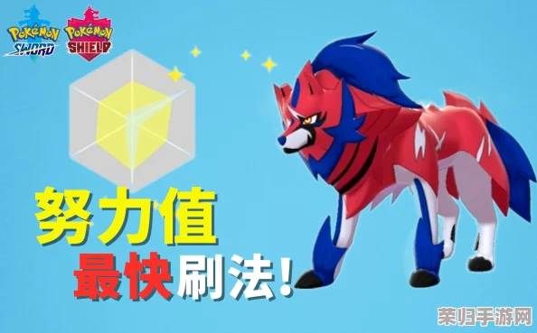 全面解锁！《宝可梦剑盾》高效提升努力值策略大合集