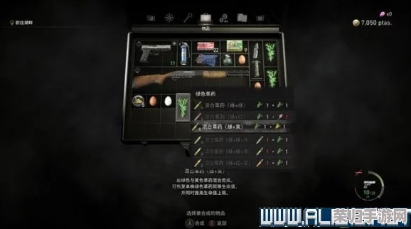生化危机2重制版：全图文深度解析，轻松掌握通关秘籍与流程攻略！