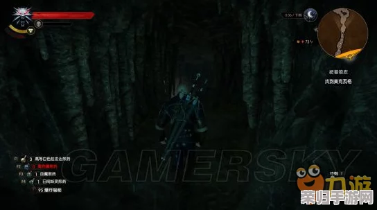 深度《巫师3》:如何完美完成'披着狼皮'任务攻略指南 深度《巫师3》:如何完美完成'披着狼皮'任务攻略指南