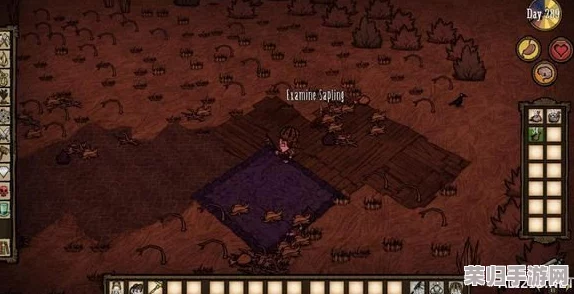 饥荒联机版：高效获取饼干切割机壳的独家策略！