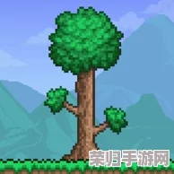 泰拉瑞亚：高效获取阿比盖尔花环的独门秘籍！