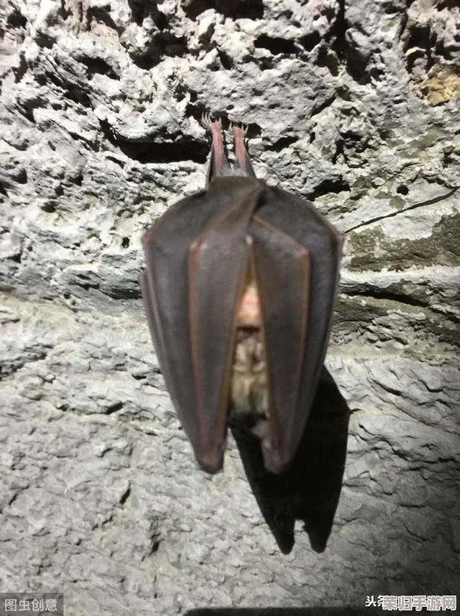 揭秘超自然蝙蝠异兽：独特特征解析与高效猎杀策略，有效对抗暗夜飞行怪物的实战指南