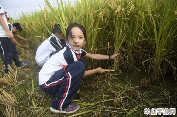 全面攻略：重生细胞游戏中稻草人镰刀独特获取途径与技巧解析