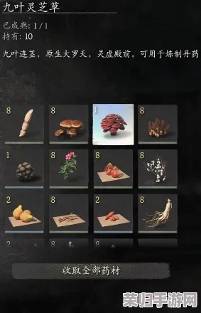 探秘《黑神话：悟空》中九叶灵芝精的独门绝技与灵魂精粹技能解析