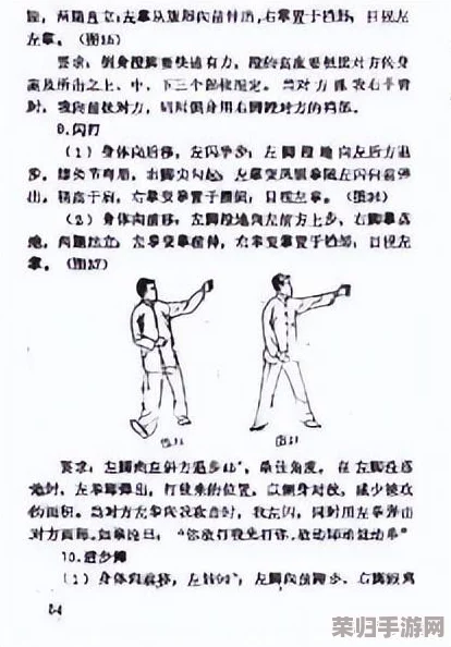 《峨眉绝学探秘》：四相掌终极战术布局与独门绝技实战应用全攻略