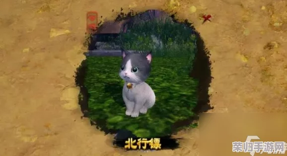 《剑网3》手游独家奇遇记：解锁小叮当秘境，详尽攻略助你邂逅奇缘之旅