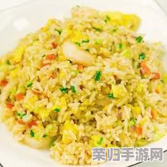 波西亚时光美食探索：独家揭秘秘制鲑鱼炒饭绝妙配方，让你的味蕾穿越至梦幻工坊之旅