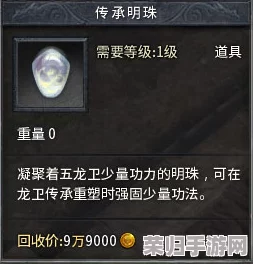 解锁传奇永恒：深度探索龙卫传承的开启之道与独特策略