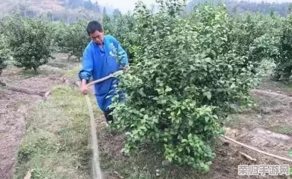俄罗斯摘花：在美丽的自然中感受春天的气息与浪漫之旅