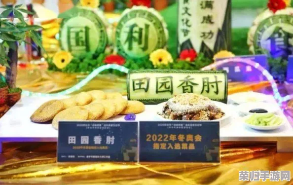 精彩一区：畅游美食、文化与娱乐的完美结合，感受城市的独特魅力与活力