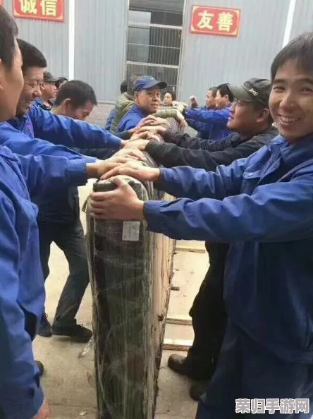 《创造与魔法》家园建设新策略：掌握沙子捐献技巧，优化木材系统助力梦幻领地构建
