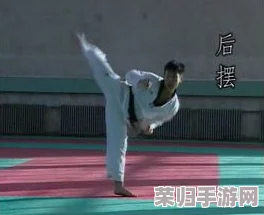 黑士腿法娴熟脚法图片在线观看,掌握技巧提升实力的必看视频合集 黑士腿法娴熟脚法图片在线观看,掌握技巧提升实力的必看视频合集