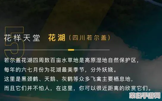 绝区零秘境深潜：安德鲁的哀愿探索委托全方位策略指南