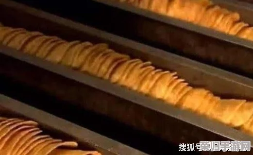 独家揭秘:沙威玛传奇版薯条匠心制作流程,从选材到出锅的每一步艺术呈现 独家揭秘:沙威玛传奇版薯条匠心制作流程,从选材到出锅的每一步艺术呈现