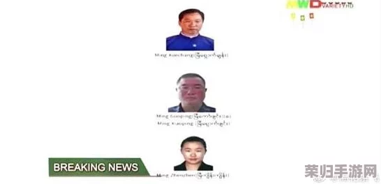 缅甸杀人网站www：揭开网络黑暗面与社会安全的深层次问题
