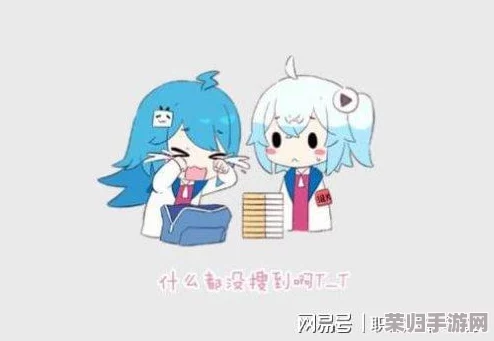 深入探讨b站引流网址入门技巧以及免费的下载安装评分标准