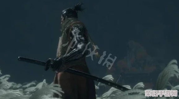 《只狼：影逝二度》PC版全技能解析，解锁忍者之路的致胜绝技与战斗艺术