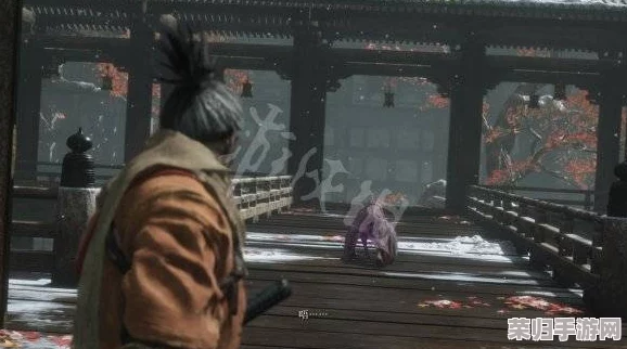 《只狼：影逝二度》PC版全技能解析，解锁忍者之路的致胜绝技与战斗艺术