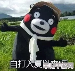 啊哈有人来了啊哈风调禹顺，畅享生活乐趣与美好时光的完美结合