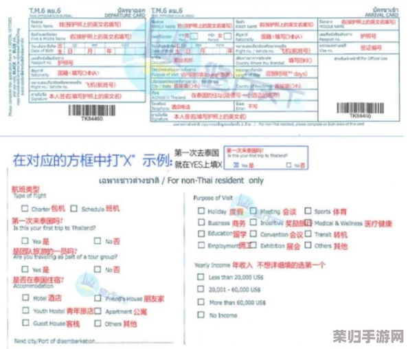 janpense visa 高请:如何轻松申请日本签证,畅游樱花之国的最佳攻略与建议 janpense visa 高请:如何轻松申请日本签证,畅游樱花之国的最佳攻略与建议