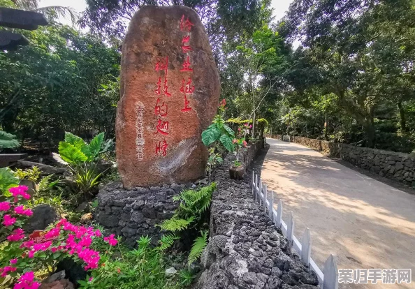 时光之旅启程：新手前期策略指南与心得感悟，掌握穿越法则的初步探索秘籍