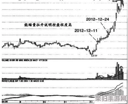 四川XXXXXLMEDJYF777777：如何在现代生活中实现健康与幸福的完美平衡